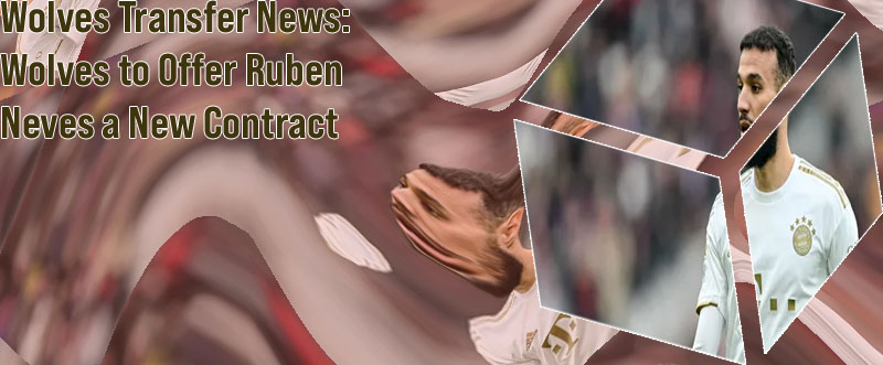 Transfer news wolves